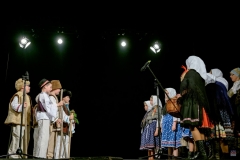 ZOS SENICA_DFS SKALICA 2017_073