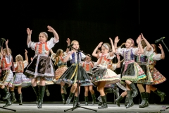 ZOS SENICA_DFS SKALICA 2017_077