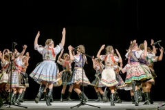 ZOS SENICA_DFS SKALICA 2017_078