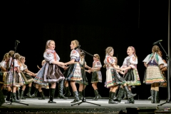 ZOS SENICA_DFS SKALICA 2017_079
