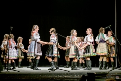 ZOS SENICA_DFS SKALICA 2017_080