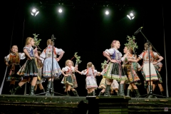 ZOS SENICA_DFS SKALICA 2017_081