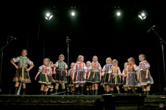 ZOS SENICA_DFS SKALICA 2017_084