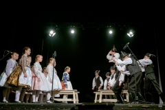 ZOS SENICA_DFS SKALICA 2017_088