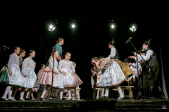 ZOS SENICA_DFS SKALICA 2017_089