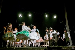 ZOS SENICA_DFS SKALICA 2017_098