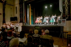 ZOS SENICA_DFS SKALICA 2017_102