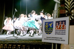 ZOS SENICA_DFS SKALICA 2017_104