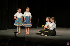 ZOS04119