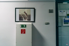 zos_fotograficka_vystava_vuctt_2020-12