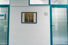 zos_fotograficka_vystava_vuctt_2020-15