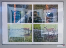 _ZOS SENICA_OBJEKTIV 2016 FOTOGRAFIE_021