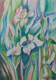 52
